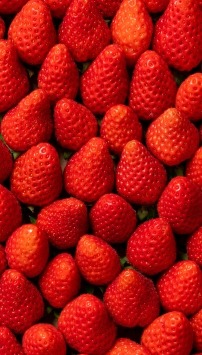 FRAISES