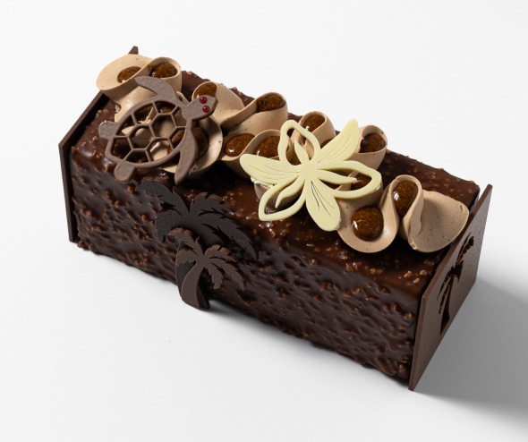 Bûche glacée l'Escale